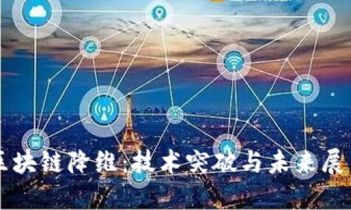 區(qū)塊鏈降維：技術突破與未來展望